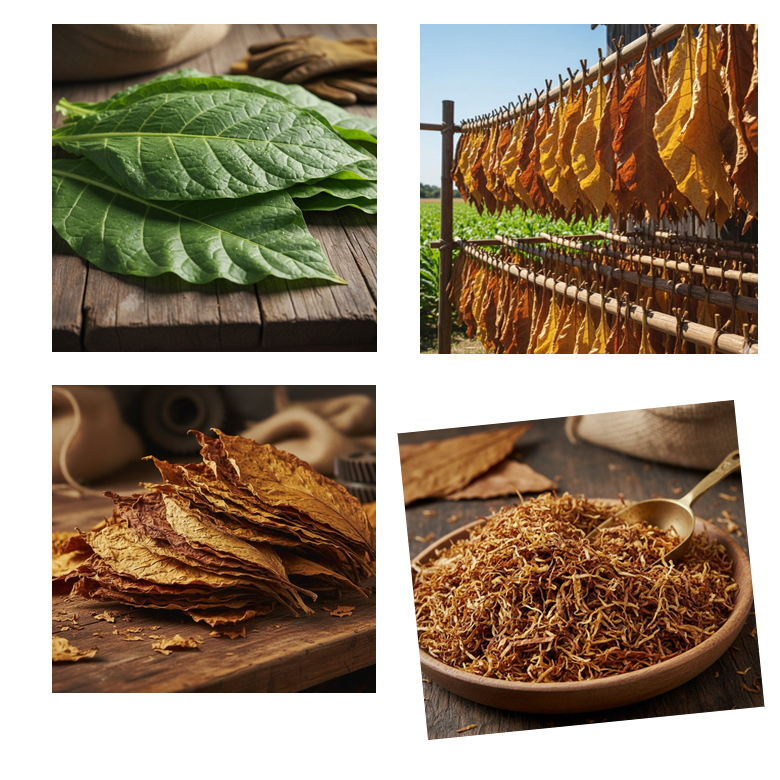 How Cigarettes Is Made In Factory?, Start to Finish ...